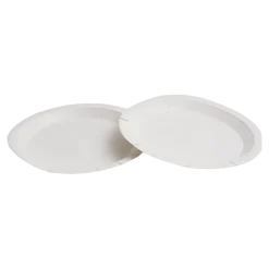 Assiette Carton Blanche ø 22cm (Lot de 50)