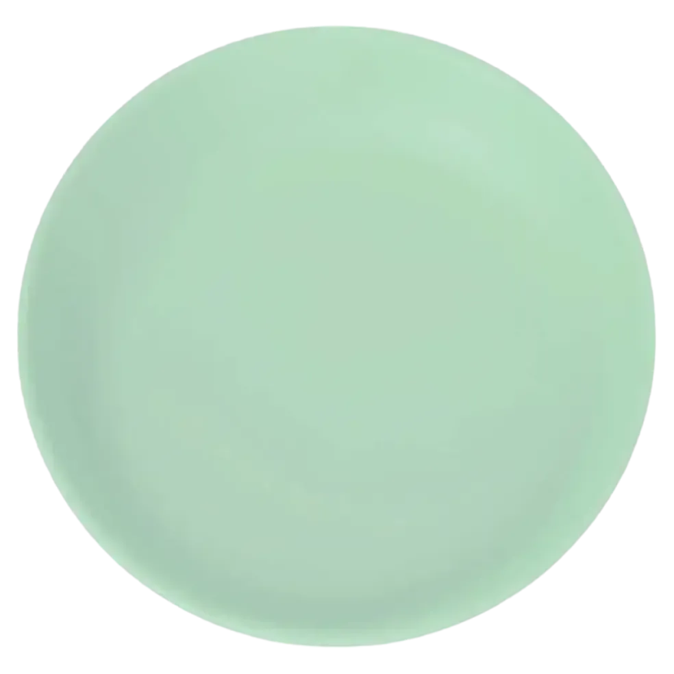 Assiette Plate Incassable Vert Pastel ø 27,5cm
