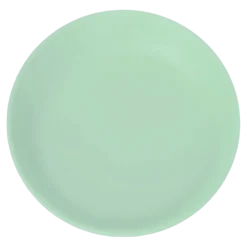 Assiette Plate Incassable Vert Pastel ø 21cm