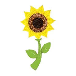 Ballon Hélium Tournesol Jaune Géant 152cm