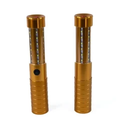 BATON LED BOUTEILLE V.I.P OR