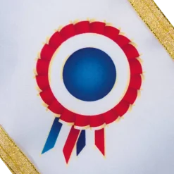 Écharpe Future Mariée – Accessoires EVJF