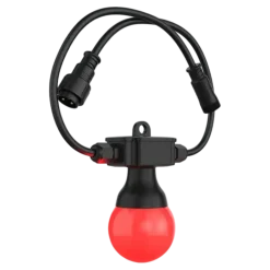 CHAUVET DJ - Rallonge pour Festoon 2 RGB
