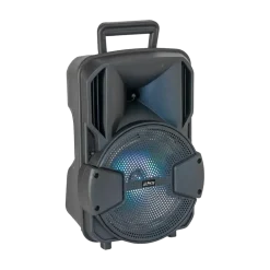 Enceinte Portable Enfant Karaoke - Pied + Micro & Bluetooth