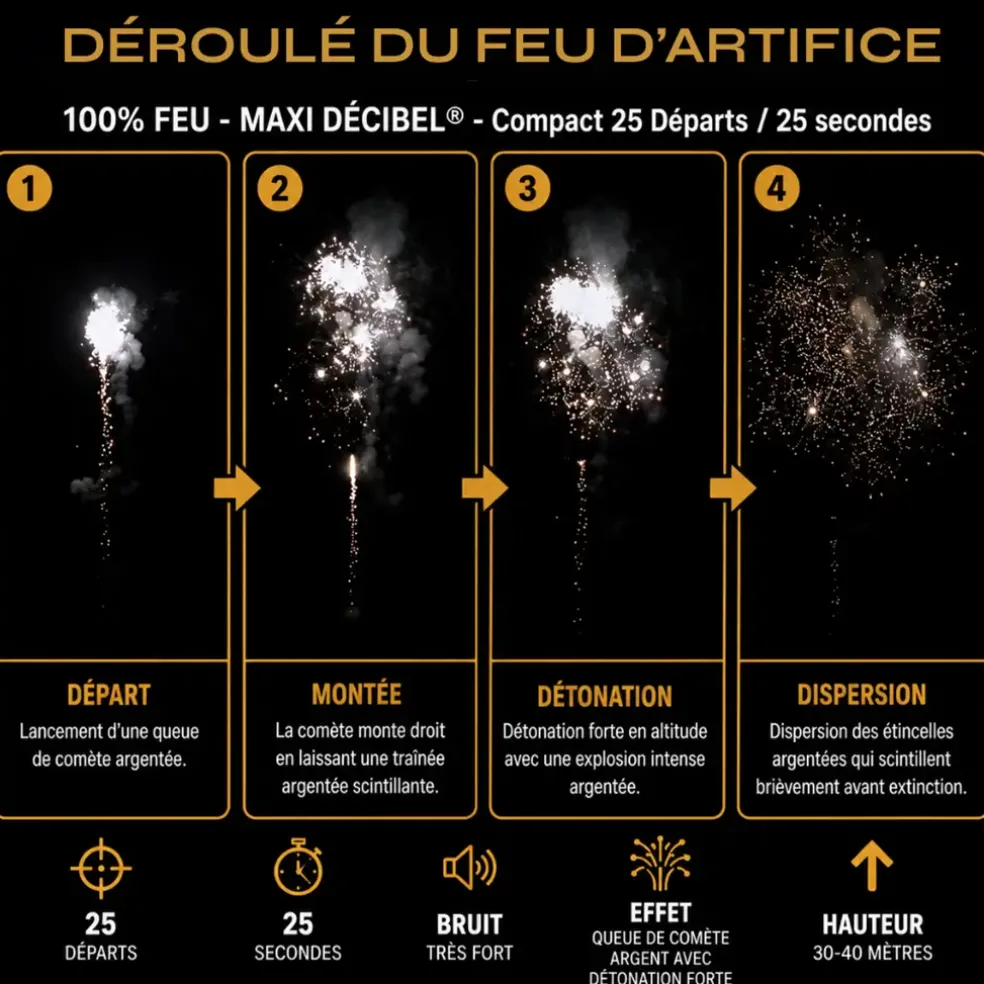 Feu d'Artifice Compact ARDI® 100% FEU - MAXI DÉCIBEL® - 25 Tirs - 25 secondes