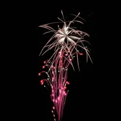 FEU D’ARTIFICE PORTABLE® LUXE PYROTECHNIQUE FRANCAIS - 5min