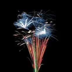 FEU D’ARTIFICE PORTABLE® LUXE PYROTECHNIQUE FRANCAIS - 5min