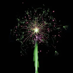 FEU D'ARTIFICE SHOWBOX® TENTATION® 1MN30
