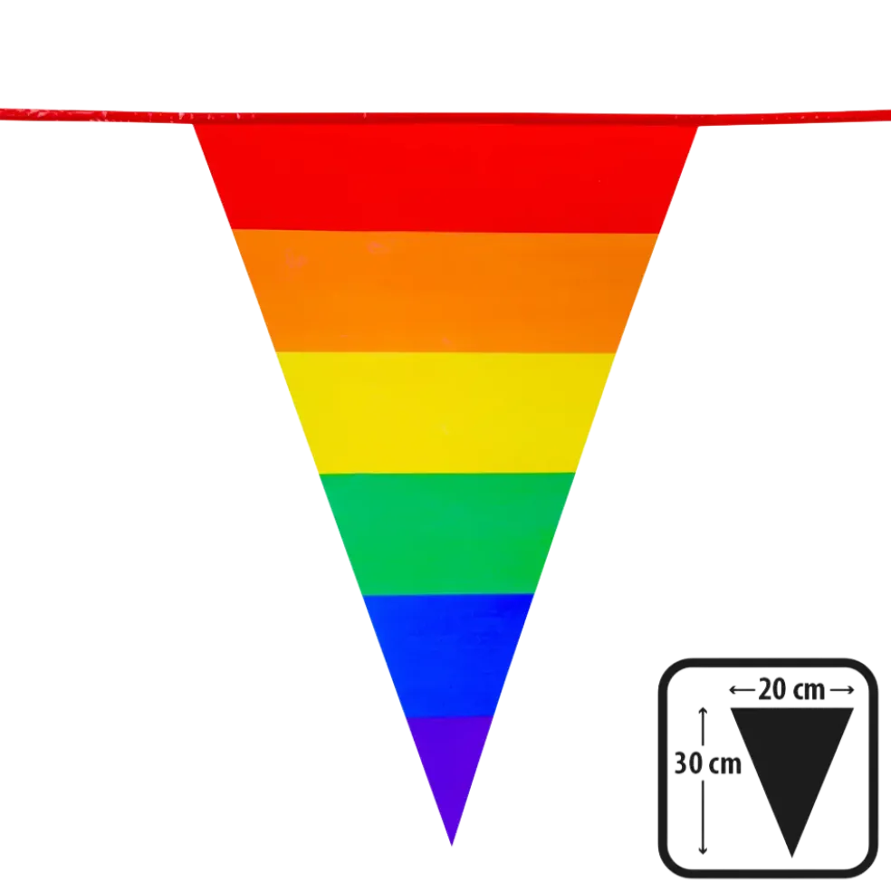 Guirlande de Fanions Arc-en-ciel – 10 m (30 x 20 cm)