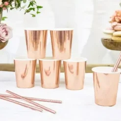 Lot de 6 verres en papier Or Rose