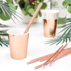 Lot de 6 verres en papier Or Rose