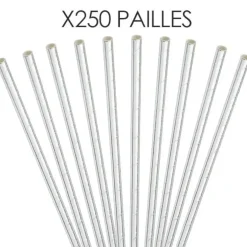 Paille papier Argent/Silver 20cm /ø6mm (250 pcs)