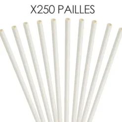 Paille papier blanche 20cm /ø6mm (250 pcs)