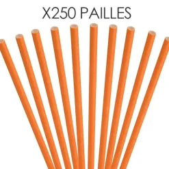 Paille papier orange 20cm /ø6mm (250 pcs)