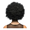 Perruque Afro pop Noire