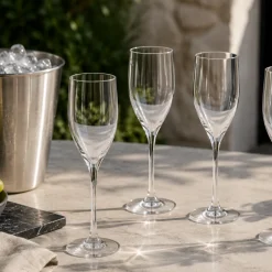 Verre flûte à champagne "Vénus" incassable en Ecozen - 17 cl
